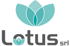 Lotus Srl
